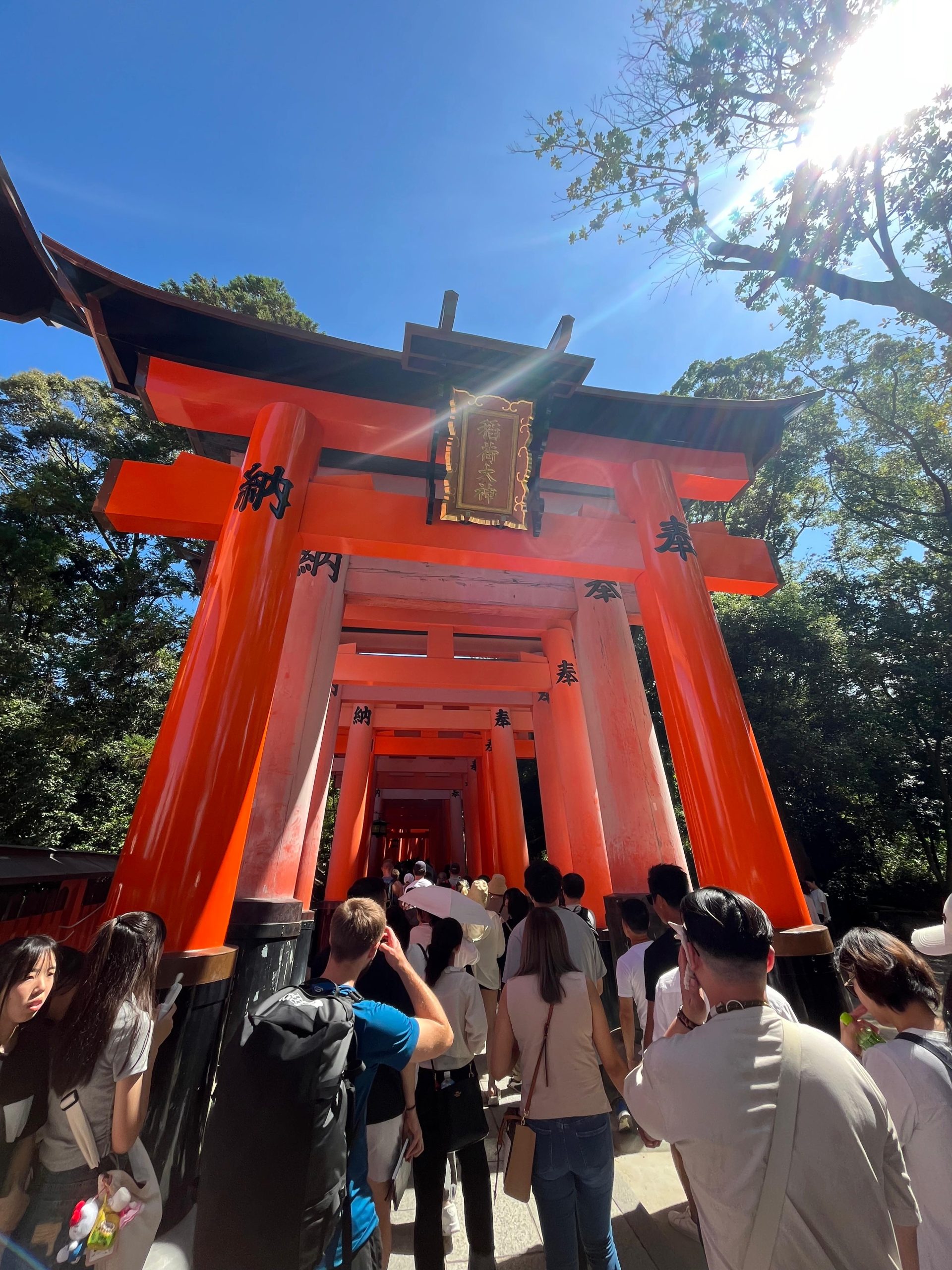 Alle tips voor jouw reis naar Japan – Kyoto