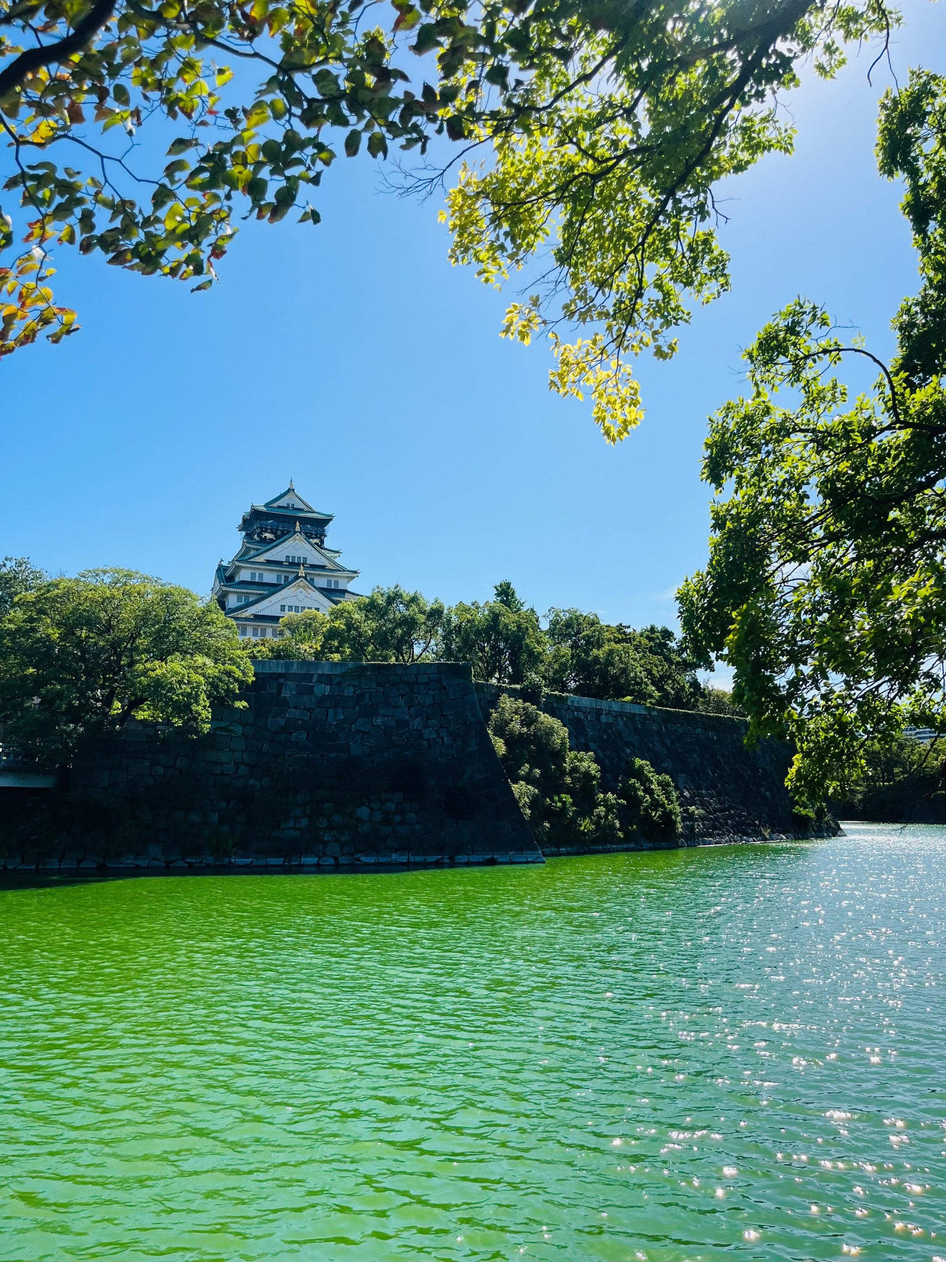 Alle tips voor jouw reis naar Japan – Osaka
